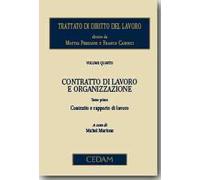 Trattato di diritto del lavoro. Vol. 4: Contratto di lavoro e organizzazione