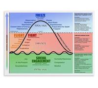 Trauma Informed Care Poster Polyvagal Concept Wall-Art