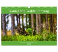 Traumhafte Waldstimmung am Rennsteig im Thüringer Wald (Wandkalender 2027 DIN A3