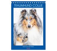 Traumhund Collie - Glück auf vier Pfoten (Tischkalender 2026 DIN A5 hoch), CALVENDO Monatskalender: 13 wundervolle Fotos der Fotografin Sigrid Starick von bezaubernden Collies