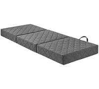 Traumnacht Materasso per dormire, Materiale in espanso, Grigio Chiaro, dimensioni del prodotto: 195 x 75 cm