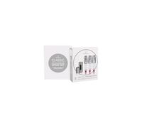 Travalo Classic HD SET Refilled Flacon 3x5 ml + Case Silver