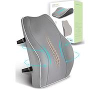 Travel Ease Cuscino Lombare Ergonomico, Supporto per la Schiena in Schiuma di Memoria per Seggiolino Auto Sedia da Ufficio, Schienale con Rivestimento Antistatico e Doppie Cinghie Regolabili, Grigio