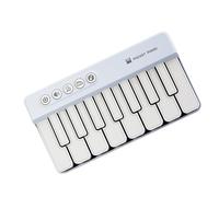 Travel Piano Kids Strumento di apprendimento interattivo La placescenza musicale sviluppa il riconoscimento del ritmo e grandi abilità motorie attraverso il pianoforte