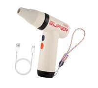 Ｚｉａｌｏｆｉ Traveling Hair asciugacapelli per animali domestici Potenti asciugature veloci per l'arte dipingere donne uomini, Blu