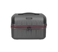 Travelite Dynamiic Astuccio 38 cm grigio