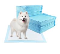 Baxcdyswe 60 Pezzi Tappetini Igienici per Cani, 60 x 90cm Design a 5 Strati a Prova di Perdite con Superficie ad Asciugatura Rapida, Traversina Tappetino Cane Pipi Assorbenti Igienico l'Addestramento