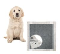 Traversine Cani 60x60 al Carbone Attivo 50 pezzi. Tappetini per Addestramento Cane e Gatto Igienici, Monouso, Antiodore con Tecnologia ai Polimeri Attivi Super Assorbenti