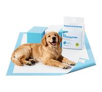 Traversine Cani 60x60cm Assorbenti Tappetini Igienici per Cani 40 Pezzi