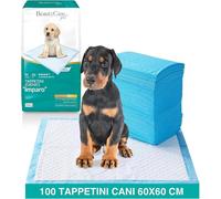 Traversine Cani Beauty Case Pet Assorbenza 4/5 100 St