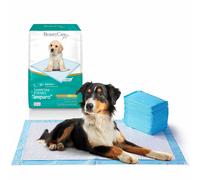 Traversine Cani Beauty Case Pet Assorbenza 4/5 120 St