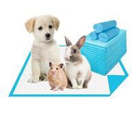 Traversine cani | Tappetini igienici per cani 33x45 | 100 pezzi | Tappetini assorbenti per Addestramento Cuccioli | Extra assorbenza Antistrappo e Antiodore | Tappeto cane | Tappetino cane | Pipi cane