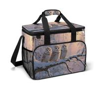 Tre gufi su ramo d'albero coperto di neve Inverno Camping Cooler Bag isolato Beach Coolers Portable Leak Proof Borse con tracolla
