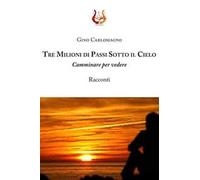 Tre milioni di passi sotto il cielo. Camminare per vedere
