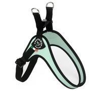 Tre Ponti R260 Easy Fit Collare Mint Per Cani Piccoli, Regolabile