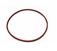 Tre Spade Guarnizione per pistone insaccatrice kg. 15