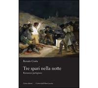 Tre spari nella notte. Romanzo partigiano