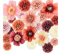TREABEAR 24 Pezzi Carta di Seta Rosa Decorazione Battesimo Ragazza, Decorazione Matrimonio Campetre Fiori Carta, Carta Crepon Pompon Matrimonio Decorazione, Carta Di Seta Rosa Decorazione Compleanno