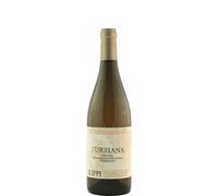 Trebbiano Turbiana Cantina Filippi 2021