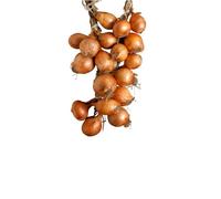 Treccia Di Cipolle - Offerta 3 Pezzi