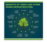 Tree Root Sidewalk Damage Poster Infrastructure Conflict | heave crack patterns and repair costs when urban roots meet concrete paths(Unframed,12x18inch(30x45cm))