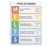 Tree Types Science Poster Forest Education Wall Art | Identify deciduous coniferous and evergreen tree types with this forest education poster(Unframed,12x18inch(30x45cm))