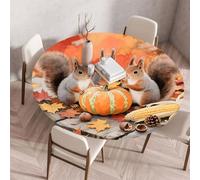 Treer Tovaglia Antimacchia Rotondo, Zucca Scoiattolo Tovaglia Rotondo con Bordo Eelastico, Tovaglie Lavabile Antiscivolo, Copritavolo Moderno Tonda per Picnic Cucina Casa (Arancione 3,130cm)