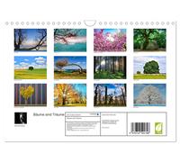 Trees are dreams (Wall Calendar 2027 DIN A4 landscape), CALVENDO 12 Month Wall C