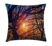 Trees By Sun Rays Natural Park Federe Copricuscino Morbido Federe De Cuscini con Cerniera Invisibile Federa per Cuscino per Primaverili Camera da Letto Letto 45X45Cm