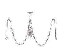 TREEWETO Orologio da taschino da uomo con doppia catena Albert a maglia barbazzale, 3 ganci con ciondolo a forma di lupo antico, design con barra a T, Argento, Antico