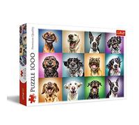 Ritratti Divertenti di Cani Puzzle 1000 Pezzi