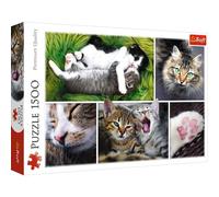 Trefl TRF26145 Puzzle da 1500 Pezzi - Just Cat Things