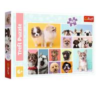 Puzzle Amicizia Canina 160 Pezzi