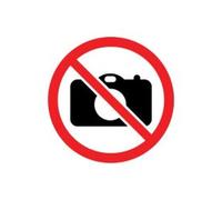 Trefl - Creative - Paradiso Uccelli - Puzzle da 500 pezzi - Puzzle fai da te, per il tempo libero creativo, per adulti e bambini dai 10 anni in su