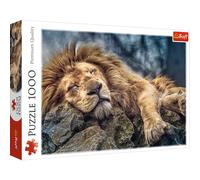 Trefl - Puzzle 1000 pezzi, Veduta del leone sulla roccia, Africa