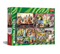 Trefl Puzzle Animali Divertenti 4×250 pezzi – Set 4 in 1 per ragazzi