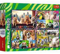 Puzzle Divertenti Animali 4x250 Pezzi