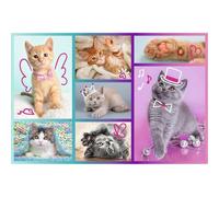 trefl Puzzle di gatti carini 60 pezzi 1 St