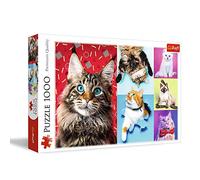 Puzzle da 1000 Pezzi - Happy cats