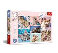 Puzzle nel Mondo dei Gatti 100 Pezzi
