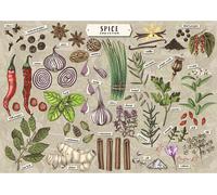 Trefl Premium Plus Quality-Puzzle Finders Keepers: Spezie-500, serie Motivi senza tempo, pezzi perfettamente compatibili, per adulti e bambini dai 10 anni in su, Multicolore, 37610