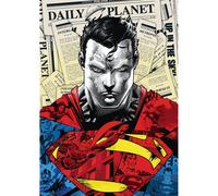 trefl Puzzle Premium Plus: Superman 1000 pezzi 1 St