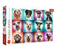 Trefl 2000 Elementi, Qualità Premium, per adulti e Bambini dai 12 anni Puzzle, Colore Ritratti di cani divertenti II, Lustige Hundeportraits, 27119
