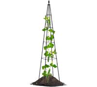 Trellis for Potted Plants, Metal Support Climbing Plant, Flower and Vegetable Gage Rack, durevole Outdoor Gage Supporti, Adjustable Frame Houseplants Vine Ivy Patio Lawn Garden