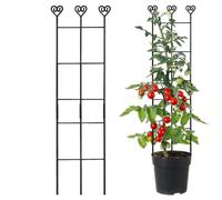 Trellis per Piante da Interno Pali Regolabili Antiruggine