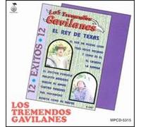 Tremendos Gavilanes - 12 Exitos