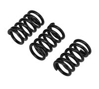 Tremolo ARM TENTAGE Springs per il Jazz e Chitar Bridge, Molle Metalliche Durevoli per Posizione Fissa, 3pcs (BLACK)