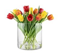 TREND FOR HOME Vaso Decorativo da Interno 19 cm per Piante Cilindro Centrotavola Portacandele Vetro per Candele Fiori Contenitore Decorativo Trasparente, Ø 19 cm, 4848 ml, Naida