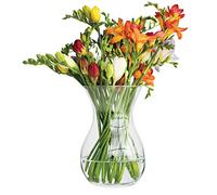 TREND FOR HOME Vaso Fiori Trasparente Vaso per Fiori 18 cm Vaso da Interno Vaso Vetro Colorato Vasi Moderni da Interno Design per Decorazioni Casa | Poppy | Trasparente