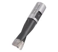 Trend Fresa Domino Ø 10 mm, utensile per scanalature per sistema Festool Domino DF500, punta in carburo di tungsteno, DOM/10